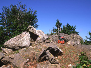 Monumenti Nino Martino